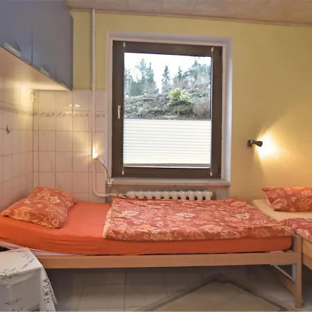 Lovely Ground-floor With Terrace In Johstadt, In The Ore Mountains Appartement Jöhstadt