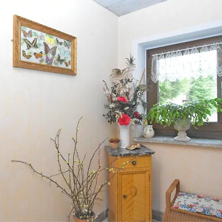 Lovely Ground-floor With Terrace In Johstadt, In The Ore Mountains Appartement *